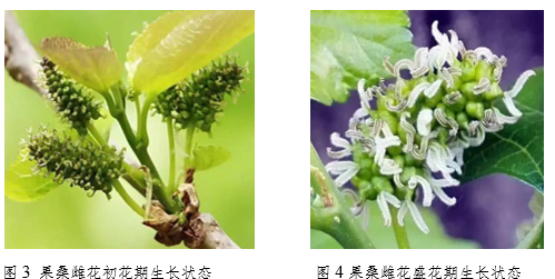 图2.png