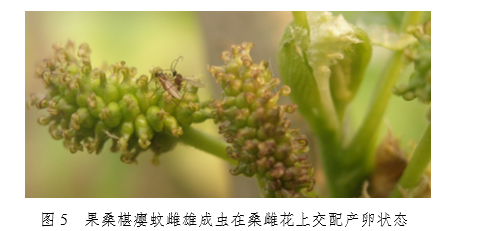 图3.png