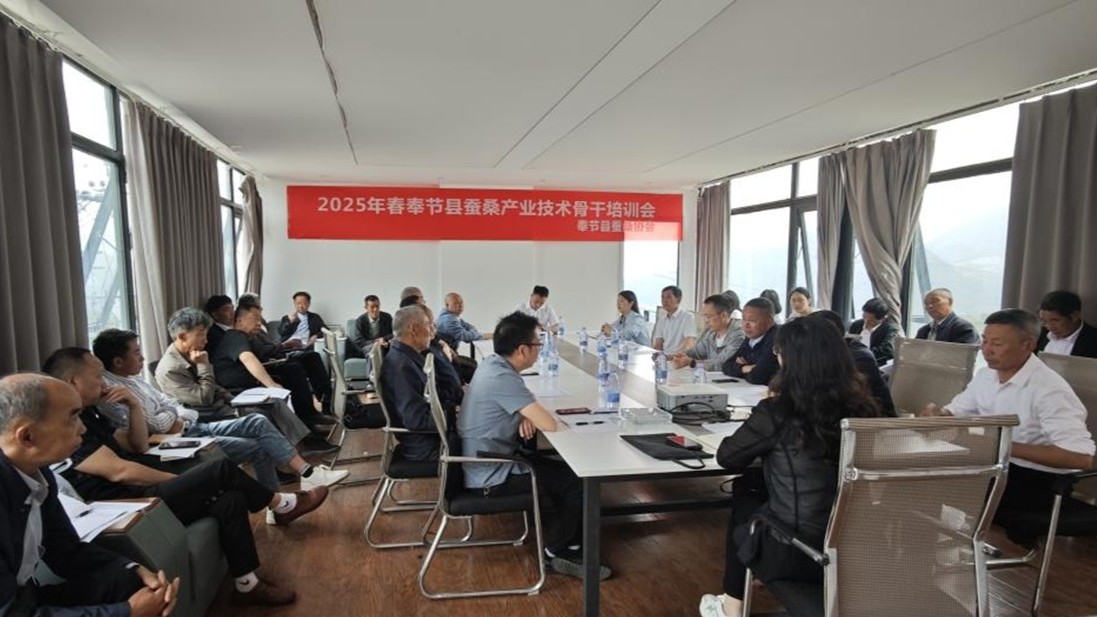 图片1.1.jpg