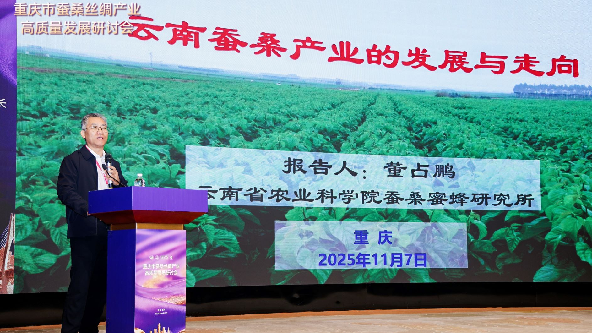 1762655408141831.jpg 董1.jpg