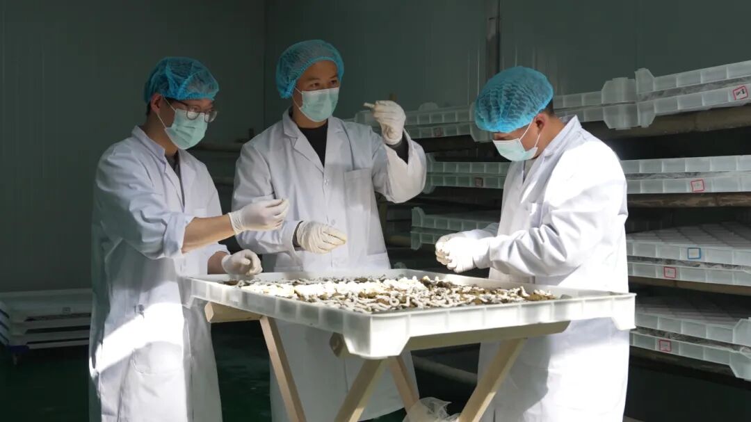 1764819537963294.jpg 微信图片_2025-12-04_113818_228.jpg