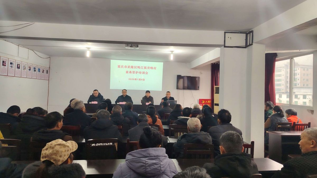 1768458905878287.jpg 2-5.jpg