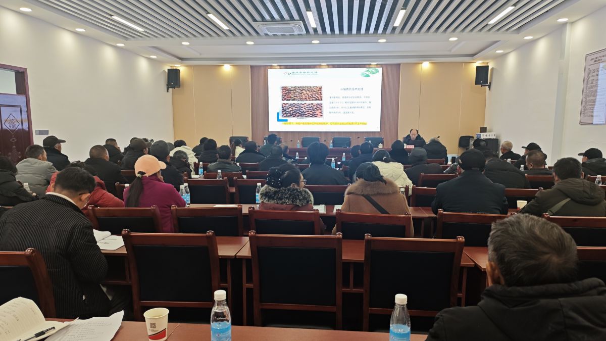 1768532803989553.jpg 1768532803989553.jpg