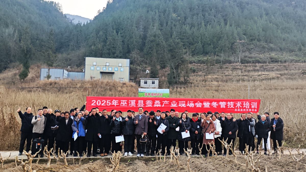 1768533311630738.jpg 1768533311630738.jpg