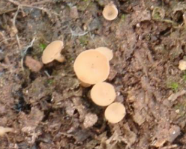 1772588010591211.png 1772588010591211.png