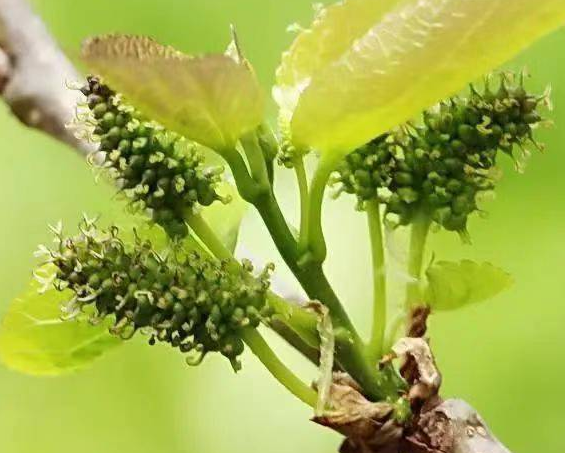 1772588419332329.png 1772588419332329.png