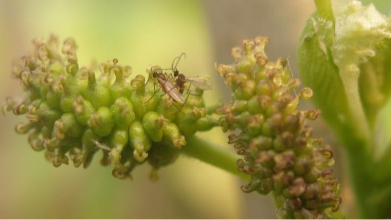 1772589757276891.png 图片5-2.png