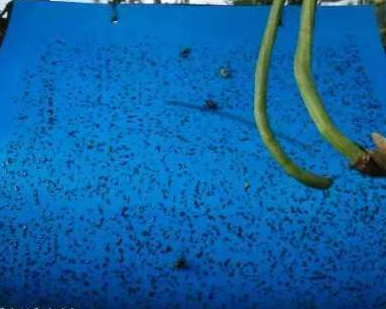 1775639291661692.png 图片3-1.png