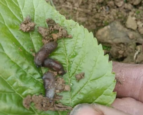 1775639386762027.png 1775639386762027.png