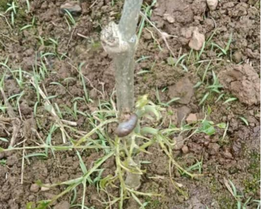 1775639403634293.png 1775639403634293.png