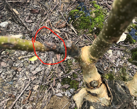 1775639759729112.png 图片8-1.png