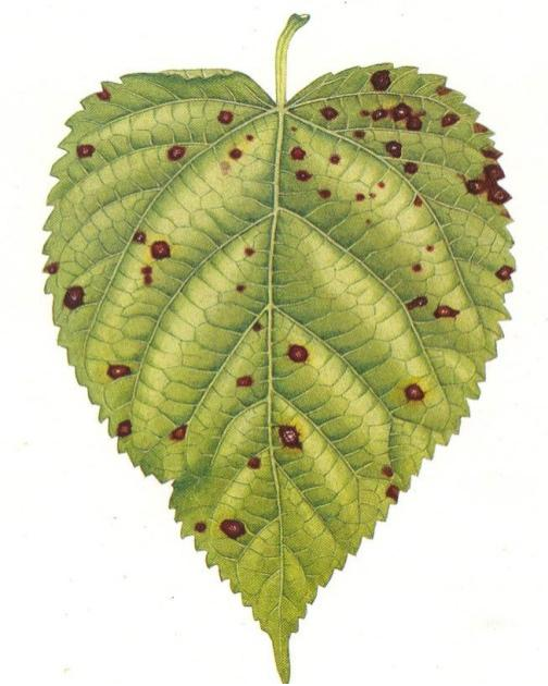 1775639820987613.png 1775639820987613.png