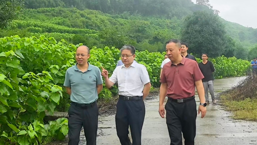 1780369954706398.jpg 2_副本.jpg