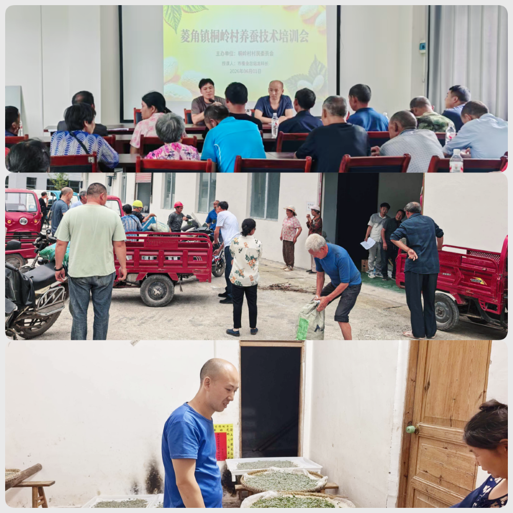 1780560583210102.png