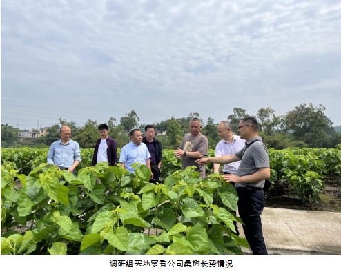 微信截图_20240805152044.png
